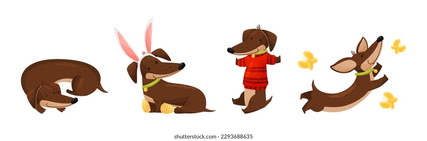 Cute Dachshund Character with Long Body and Collar Vector Set