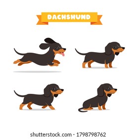 cute dachshund dog animal pet with many pose bundle set