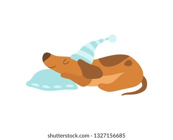 Cute Dachshund Dog Animal Sleeping on Pillow Vector Illustration