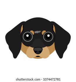 Cute Dachshund dog avatar