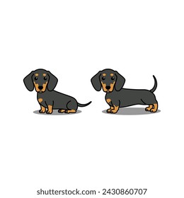 Cute dachshund dog black and tan cartoon, vector illustration