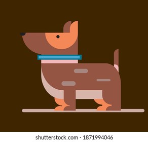 Cute Dachshund dog with blue collar standing on brown background. 