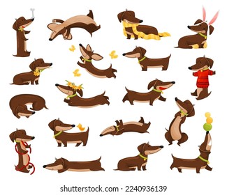 Cute Dachshund Dog Breed Engaged in Different Activity Big Vector Set svg