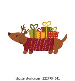 A cute dachshund dog carries gifts for Christmas and New Year. Christmas greeting card concept. Vector flat illustration.