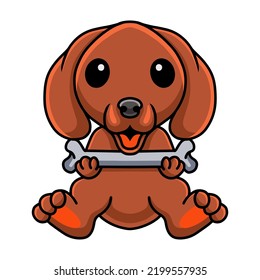 Cute dachshund dog cartoon holding a bone