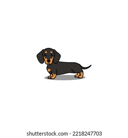 Cute dachshund dog cartoon, vector illustration svg