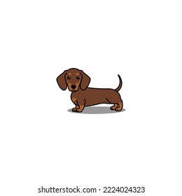 Cute dachshund dog chocolate and tan cartoon, vector illustration