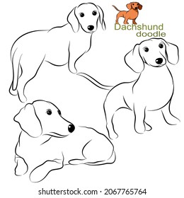 Cute dachshund dog doodle collection in different poses in free hand drawing vector illustration style.