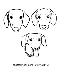 Cute Dachshund dog doodle. Collection in different poses in free hand drawing illustration style.