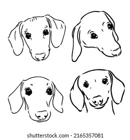 Cute Dachshund dog doodle. Collection in different poses in free hand drawing illustration style.