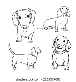 Cute doodle de perro Dachshund. Colección en diferentes poses en estilo de ilustración de dibujo a mano libre.