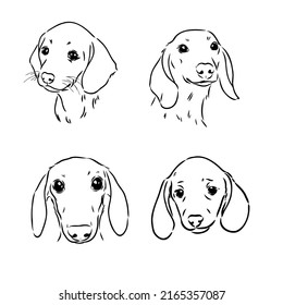 Cute Dachshund dog doodle. Collection in different poses in free hand drawing illustration style.