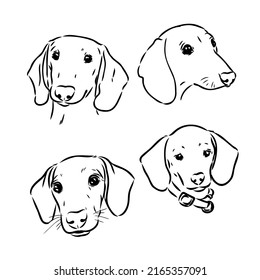 Cute Dachshund dog doodle. Collection in different poses in free hand drawing illustration style.