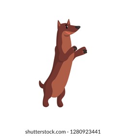 Cute dachshund dog, funny pet character, human friend vector Illustration