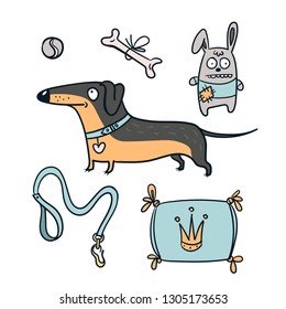 Cute dachshund dog isolated with bone, toys and leash. Vector illustration set