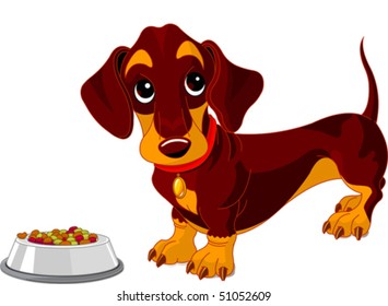 Cute dachshund dog near bowl of dog food