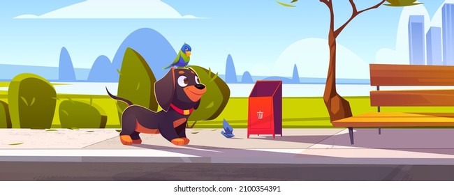 Cute dachshund dog with parrot sitting on head walking in city park with bench, trees and cityscape background. Pets, domestic animals walk, cartoon funny characters on street, Vector Illustration