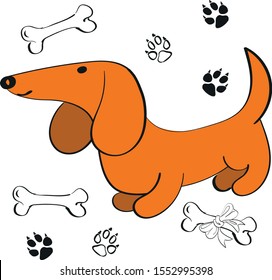 Cute dachshund dog with a set of tracks and bones. Vector cartoon illustration isolated on white background.