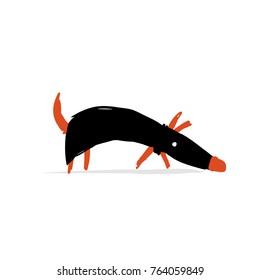 Cute dachshund dog, sketch for your design. Vector illustration