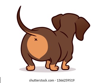 Cute dachshund dog vector cartoon illustration isolated on white. Simple  drawing of chocolate and tan wiener sausage puppy, rear view. Funny doxie butt, dog lovers, pets, animals theme.