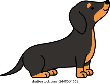 Linda Ilustración vectorial de perro dachshund