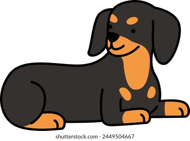 Cute dachshund dog vector illustration