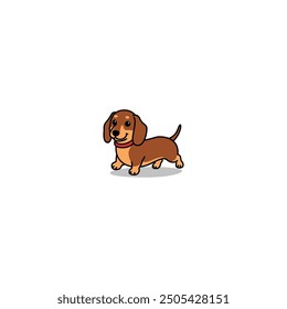 Lindo perro dachshund caminando de dibujos animados, Ilustración vectorial