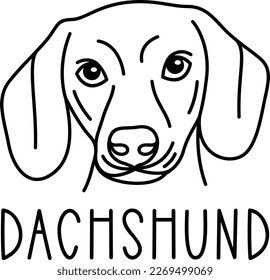 Cute dachshund face. Dog head icon. Hand drawn isolated vector illustration in doodle style on white background