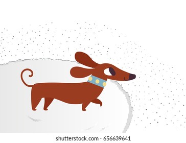 Cute dachshund illustration. Funny vector portrait of a dog for decoration and design