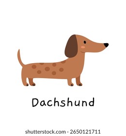 Cute dachshund illustration in minimal scandinavian style. Perfect for nursery decor, children's prints, pet posters, and dog lover designs.

