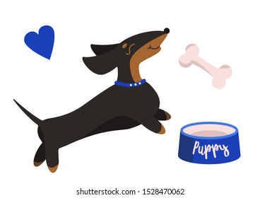 Cute dachshund puppy, blue food bowl and bone vector illustration