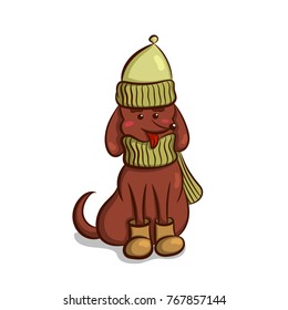 Cute dachshund puppy in hat, scarf and boots isolated on white background. Vector illustration