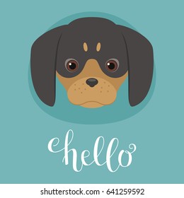 Cute dachshund puppy head. Hand writing "Hello". Vector illustration