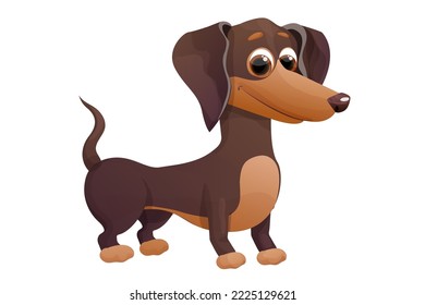 Cute dachshund puppy 