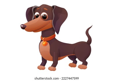 Cute dachshund puppy 