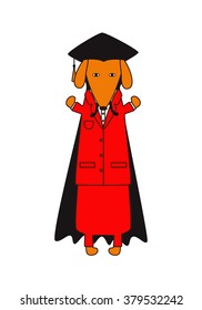 Cute dachshund in red suit, black graduation cap and mantle isolated on white background