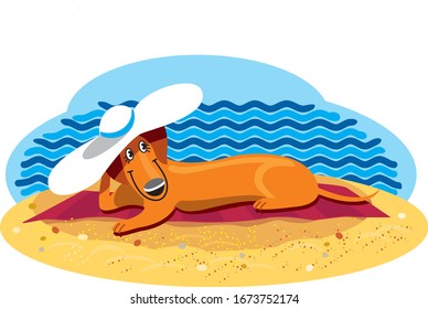 cute Dachshund resting on the beach, vacation