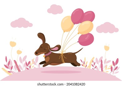 Cute dachshund run in love mood with air balloons. Pink cloud and plants on white background. Vector illustration. Saint Valentine's greeting day card. 