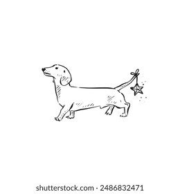 A cute dachshund or sausage dog wearing a little star decoration on his tail. Side profile walking dog, drawn by hand in black and white line.