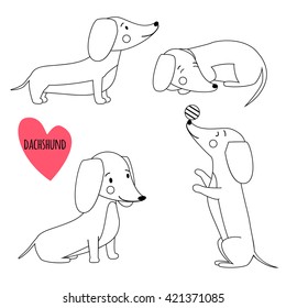 Cute dachshund set in different poses in outline black and white style. Vector illustration of dog for decoration, design logotype, leaflet, catalog, pet shops, veterinary clinics