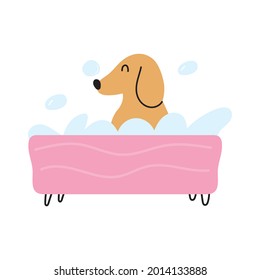 Cute dachshund sit in bath. Vector flat illustration on white background.