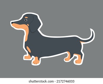 Cute dachshund sticker. Vector illustration for children.