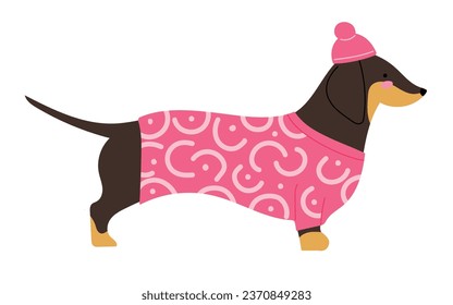 Cute Dachshund wearing warm pink outwear clothes and a hat, for walking outside in cold season. Isolated vector illustration