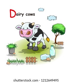 cute dairy cows