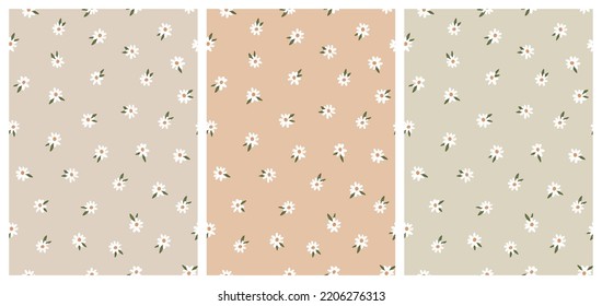 Cute Daisies Seamless Pattern Set en Neutral Earthy Backgrounds. Ilustración de vectores dibujados a mano simple. Ideal para impresiones textiles, de tela, de envolver de papel.