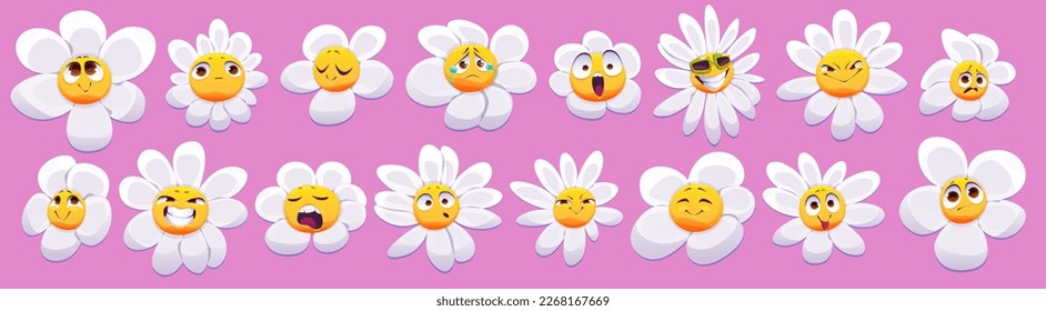 Cute daisy flower character with smiling face. Different emotions of chamomile. Emoji icons with funny daisy character isolated on pink background, vector cartoon set