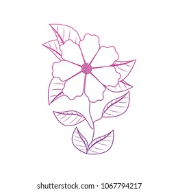 cute daisy flower with leafs decorative