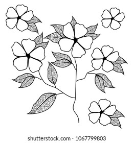 cute daisy flower with leafs decorative