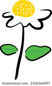 Cute Daisy flower petals flowering 2