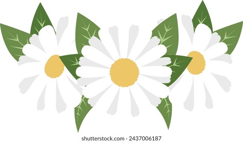 Cute Daisy Flower vector illustration 